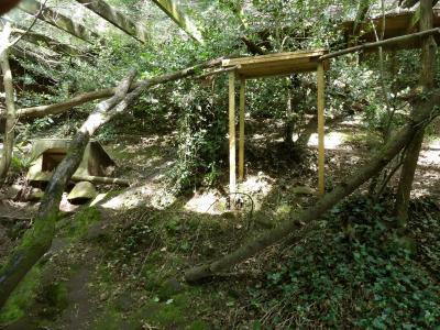 Chat de Geoffroy - 2023