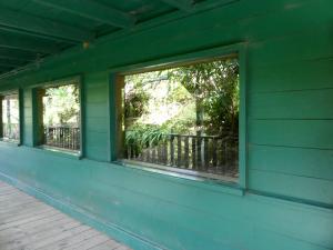 Jaguarondi Sco 23 P1700466