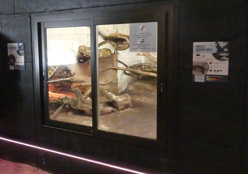 Python réticulé - 2023