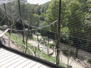 Volière sud-américaine