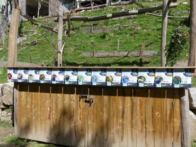 Volière sud-américaine - 2023