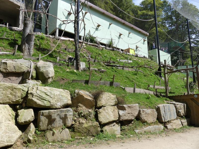 Volière sud-américaine - 2023