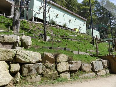 Volière sud-américaine - 2023