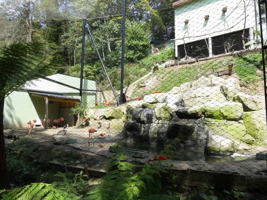 Volière sud-américaine