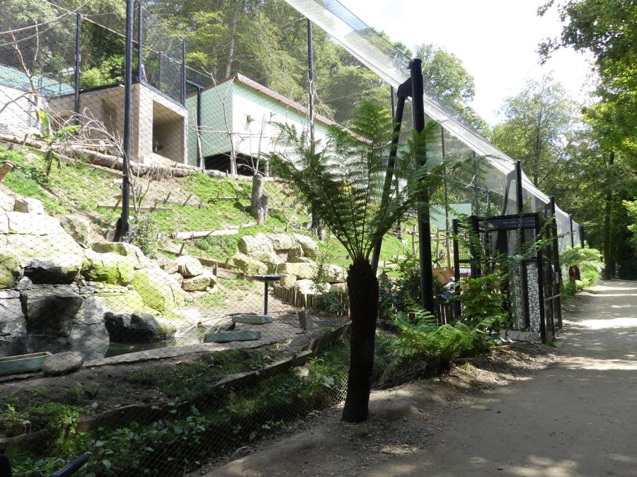 Volière sud-américaine