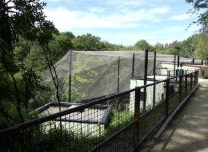 Grande volière : 15 éléments