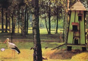 Une cigogne prés du moulin