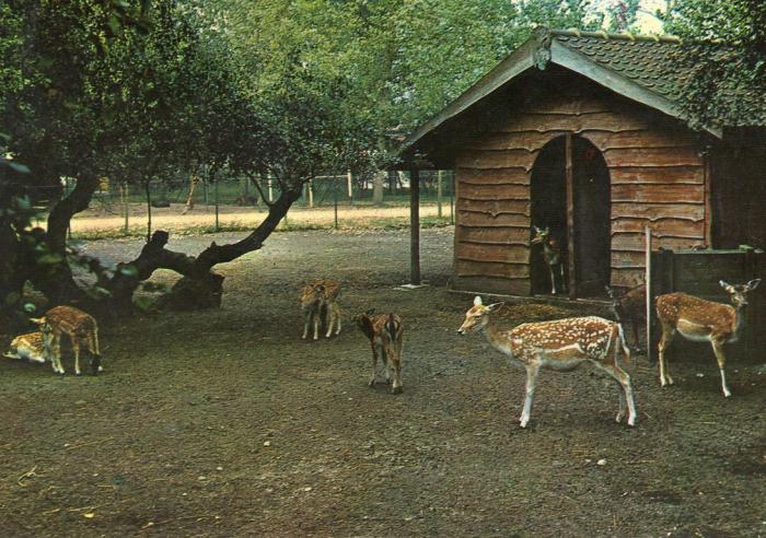 Le parc aux daims - 1978