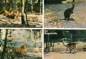 Quelques spécimens du Zoo