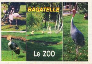 Un coin du Zoo
