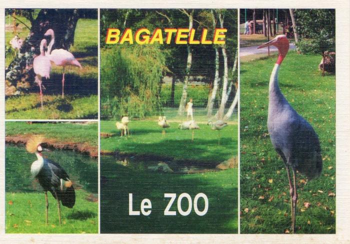 Un coin du Zoo