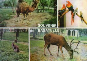 Le Zoo - 1986