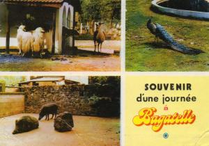 Le Zoo - 1986