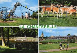 La Chanterelle