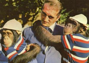 Jo Clavel et les chimpanzés - 1967