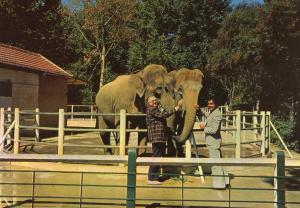 Les éléphants