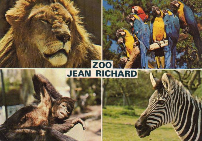 Lion - Aras - Singe Atéle - Zèbre - 1981