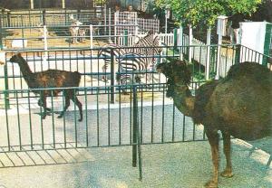 Zoo Jean Richard