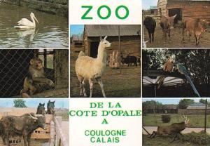 Zoo de la Côte d'Opale