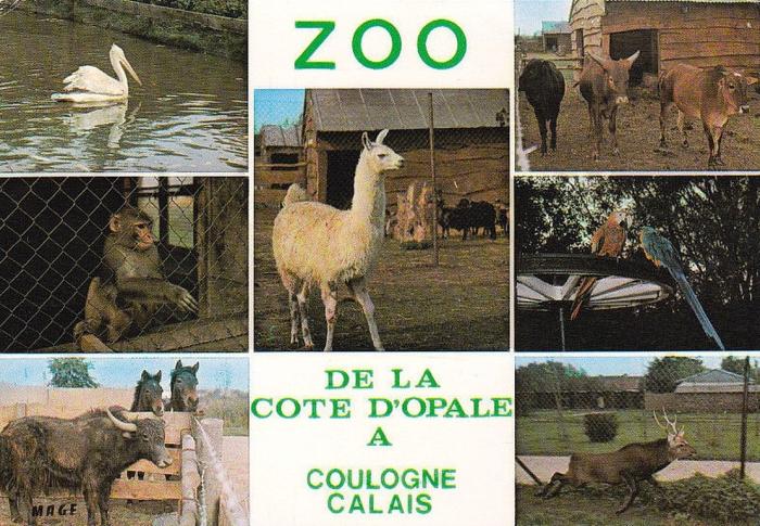 Zoo de la Côte d'Opale