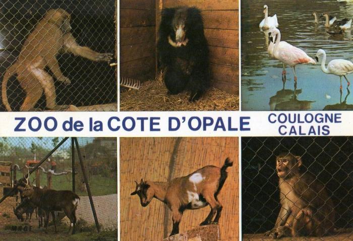 Zoo de la Côte d'Opale
