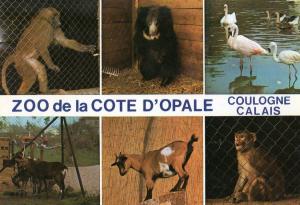 62 Zoo de La Côte d'Opale
