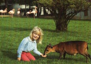 Emma et l'antilope