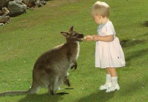 Caroline et Wallaby de Bennett