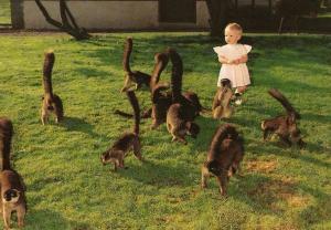 64 Zoo d'Asson