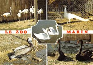 Les flamants roses, le paon blanc, le pélican, les cygnes