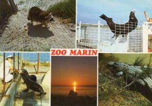 Le raton laveur - Skipper - Les otaries - Le crocodile - 1988
