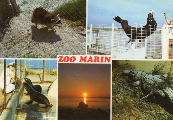Le raton laveur - Skipper - Les otaries - Le crocodile - 1988