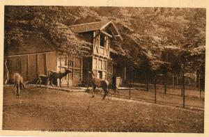 Jardin Zoologique