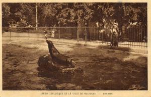 Otaries
