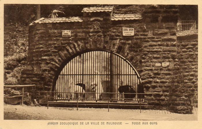 Fosse aux ours