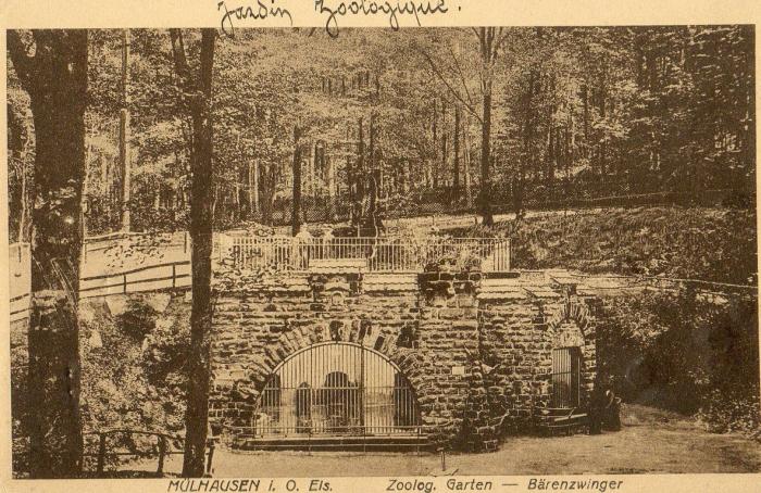 Bärengehege - Fosse aux ours