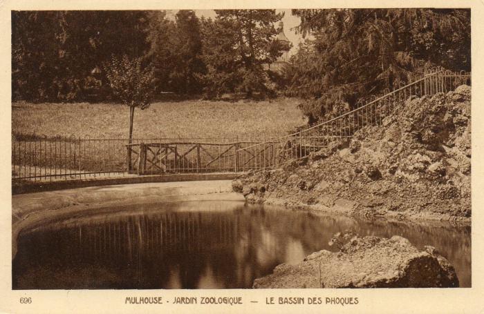 Bassin des phoques