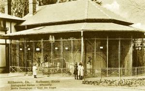 Cage des singes