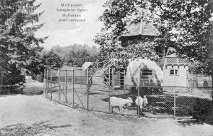 Jardin Zoologique - 1909