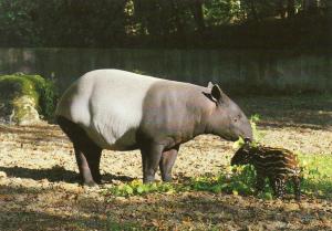 68 Parc Zoologique et Botanique de Mulhouse