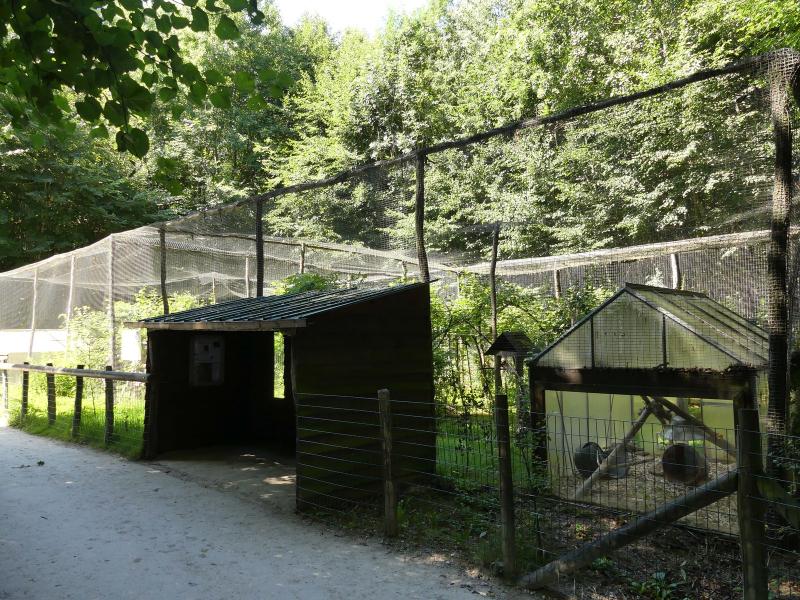 Chat de Gordoni - 2022