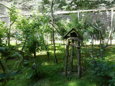 Chat de Gordoni - 2022