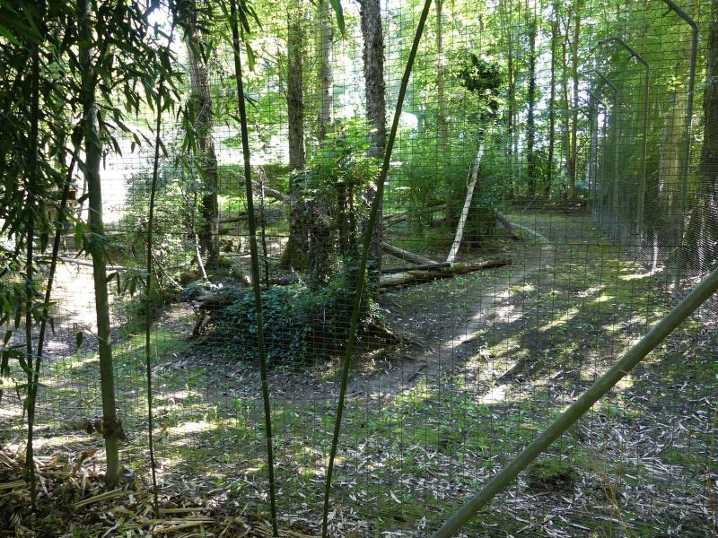 Chat pêcheur - 2022