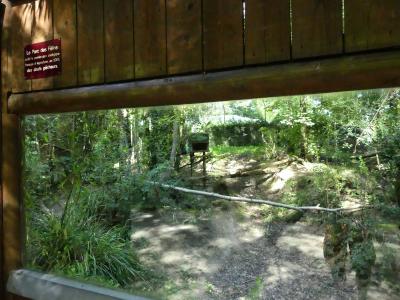 Chat pêcheur - 2022