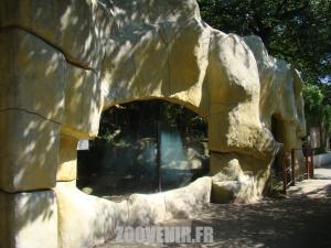 Panthére nébuleuse