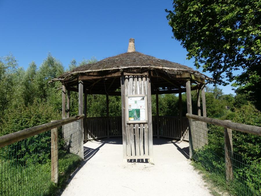 Guépard