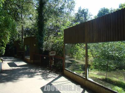 Panthére de l'Amour - 2011