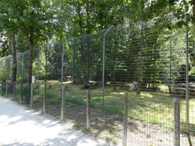 Lynx d'Europe - 2022