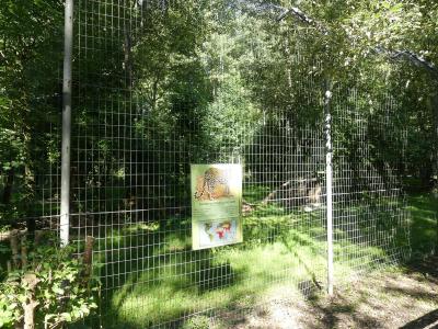 Panthère du Sri-Lanka - 2022