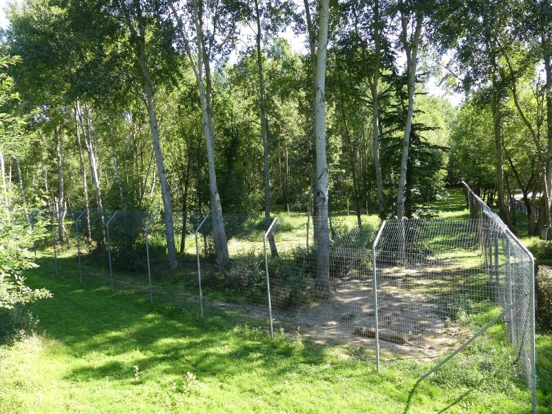 Tigre de Malaisie - 2022